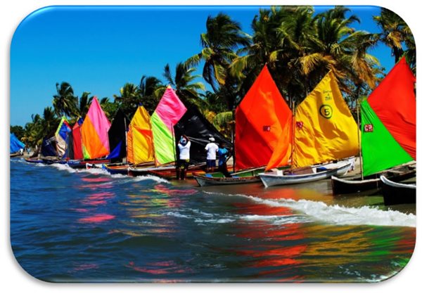 En la orilla del mar hay varios veleros con sus banderas coloridas, organizados en fila