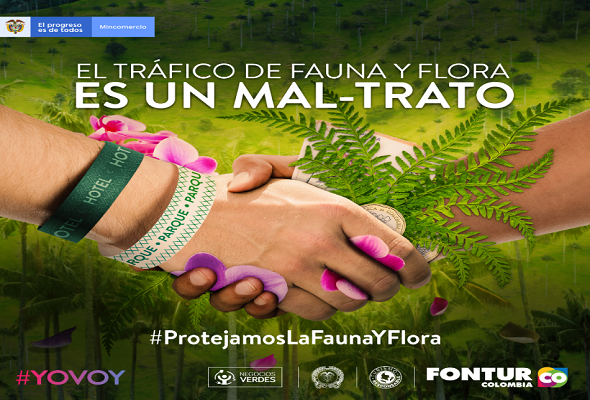 Foto-Trafico-de-Flora-y-fauna.png
